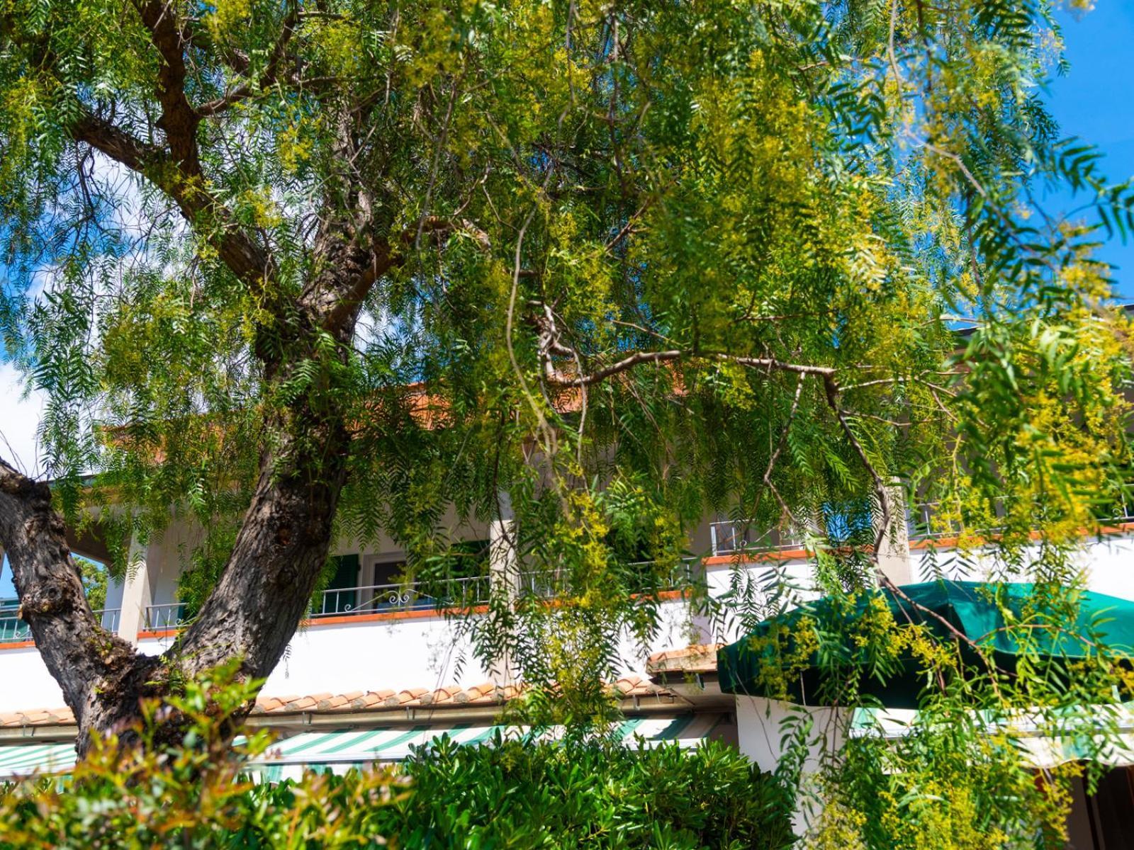 Residence Augusto 카폴리베리 외부 사진